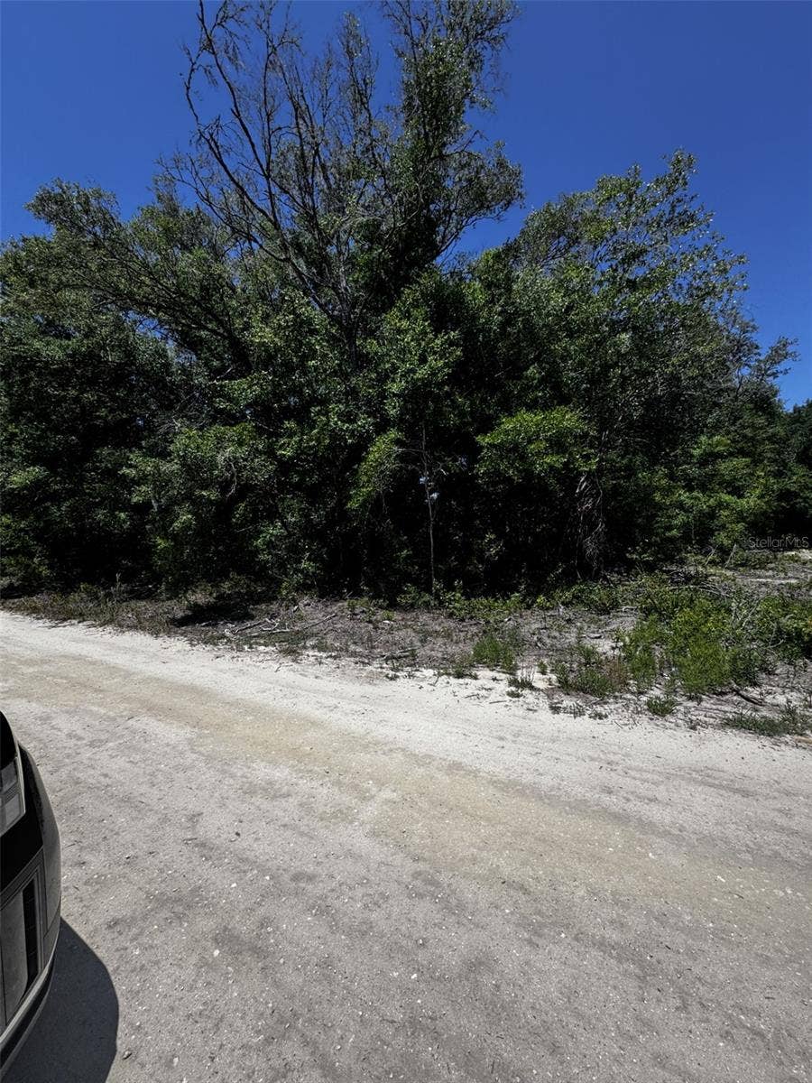 Property photo for 0 SW 104TH LANE, Dunnellon, FL