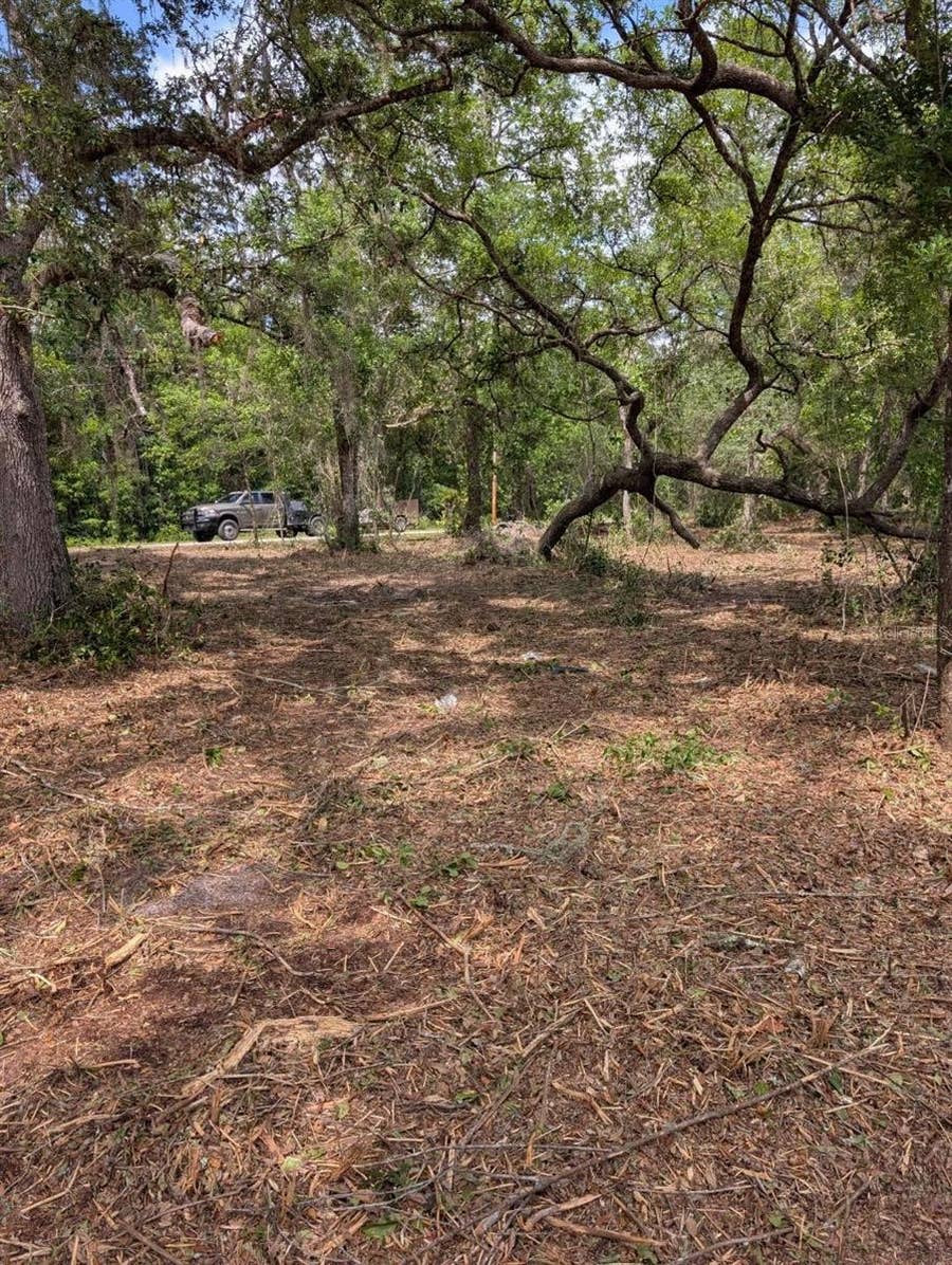 Property photo for 0 NE 220TH STREET, Fort Mc Coy, FL