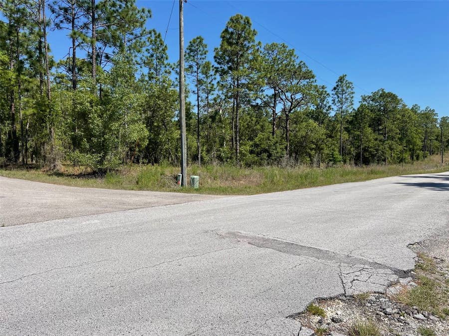 Property photo for LOT 1 NW MANDRAKE DRIVE, Dunnellon, FL