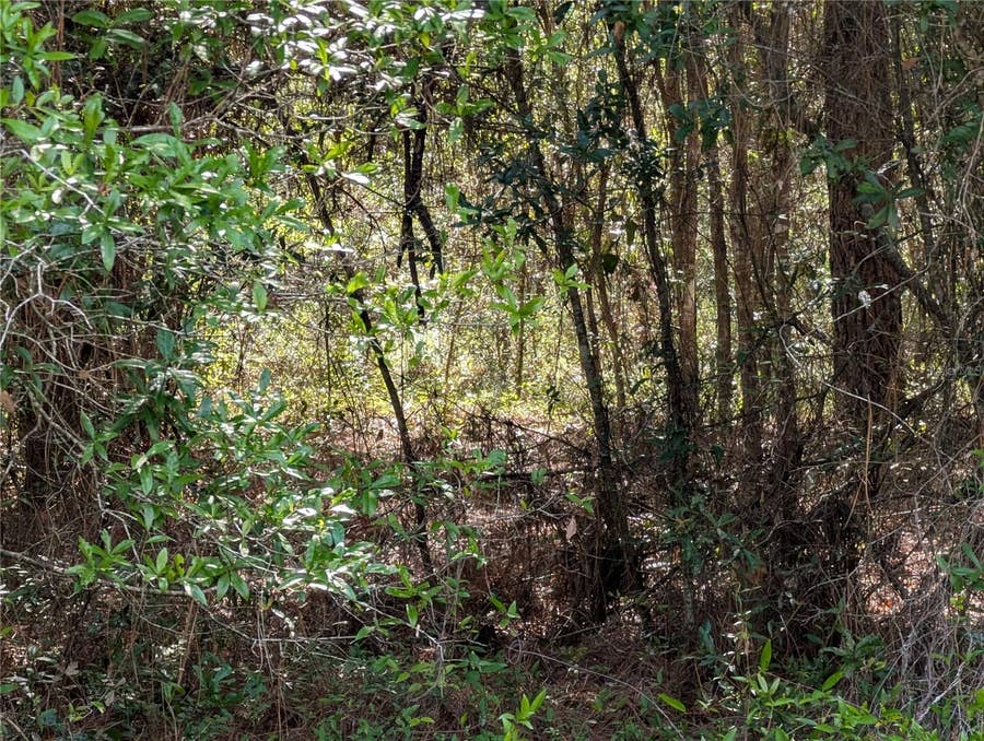 Property photo for 202ND CT, Dunnellon, FL