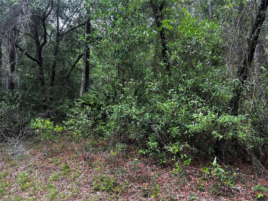 Property photo for TBD SW 186TH CT., Dunnellon, FL