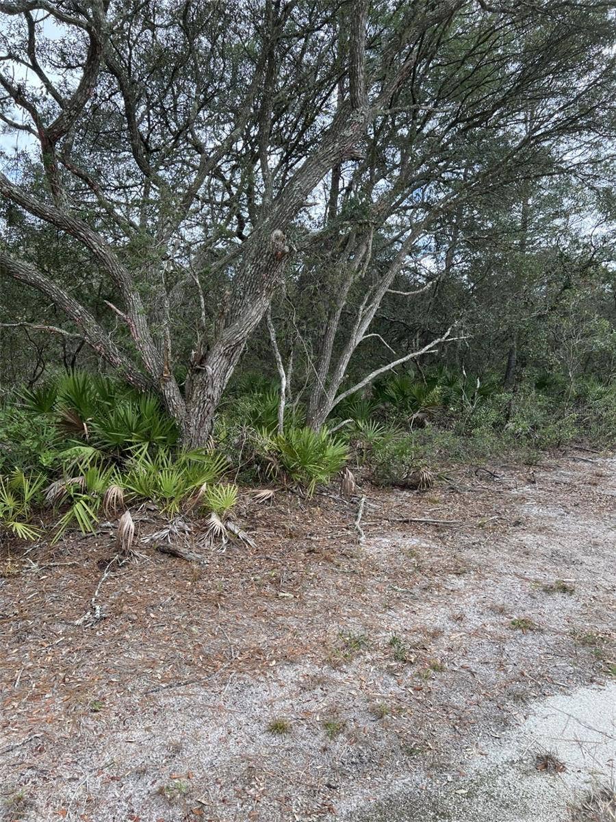 Property photo for 0 NE 144 COURT, Fort Mc Coy, FL