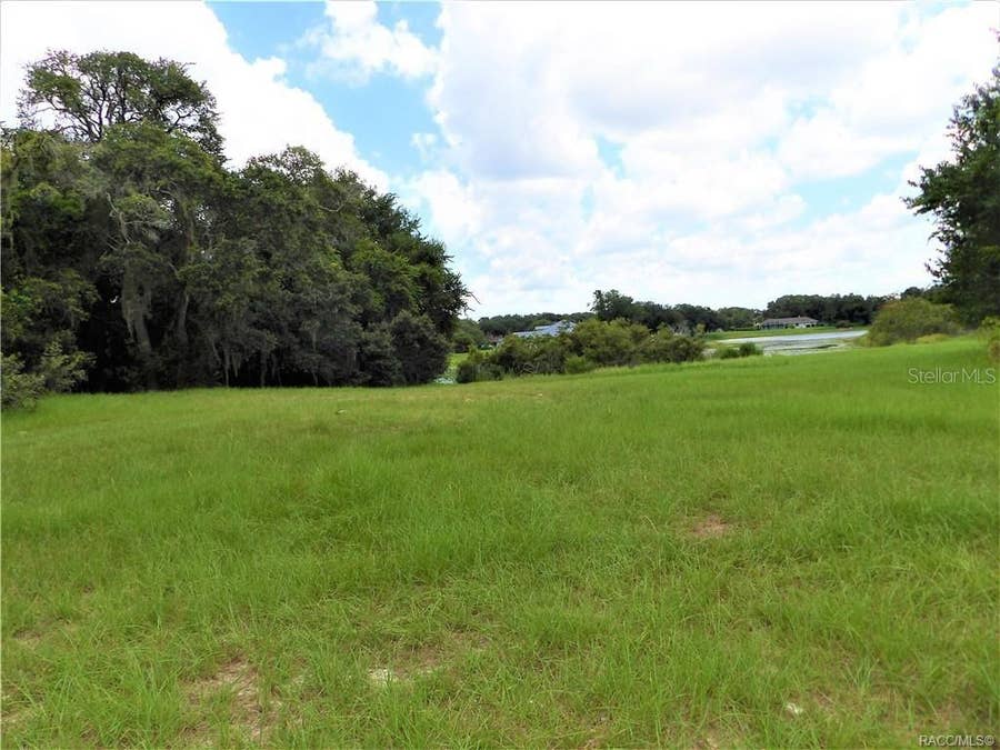 Property photo for 9546 E BAYMEADOWS DRIVE, Inverness, FL