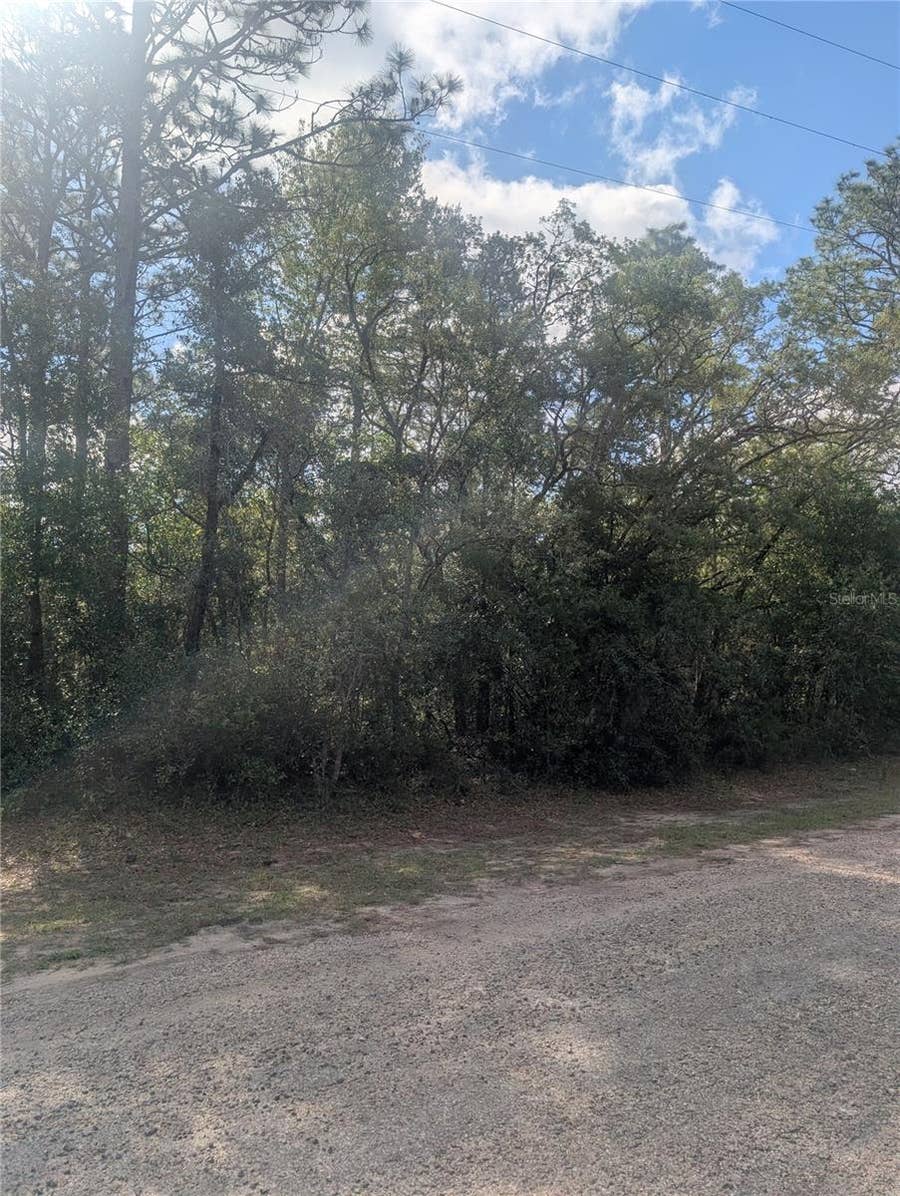 Property photo for 8791 N FOLLAND DRIVE, Dunnellon, FL