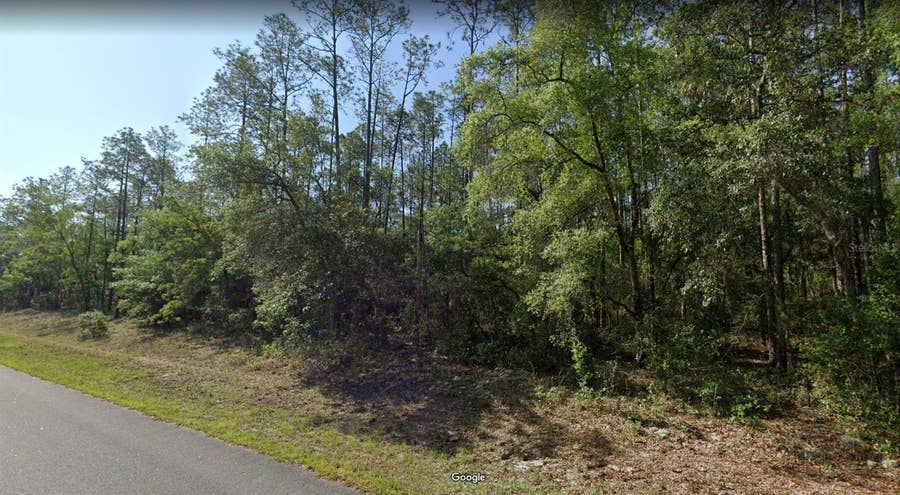 Property photo for 546 E BIMINI DRIVE, Dunnellon, FL