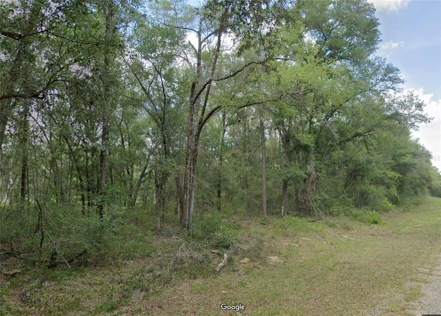 Property photo for 719 E BYRD LOOP, Dunnellon, FL