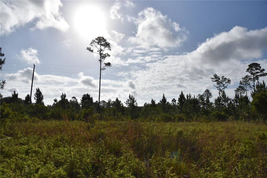 Property photo for 22370 NE 130TH AVENUE, Fort Mc Coy, FL