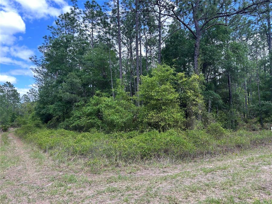 Property photo for TBD SW 159TH AVENUE, Ocala, FL