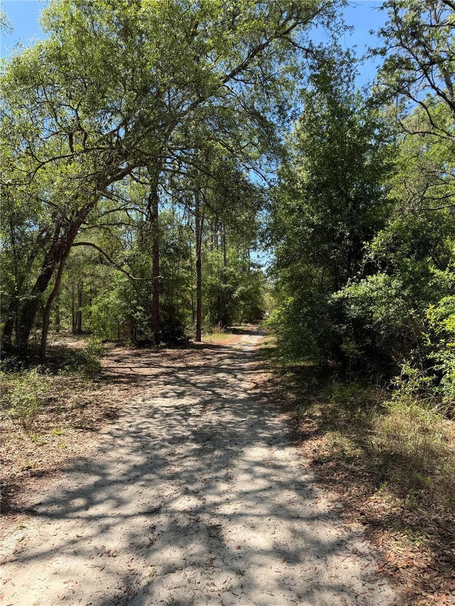 Property photo for TBD NE 107TH COURT, Bronson, FL