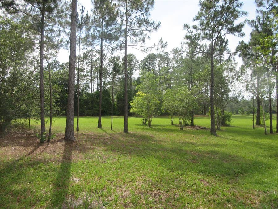 Property photo for 0 SE 10TH STREET, Silver Springs, FL