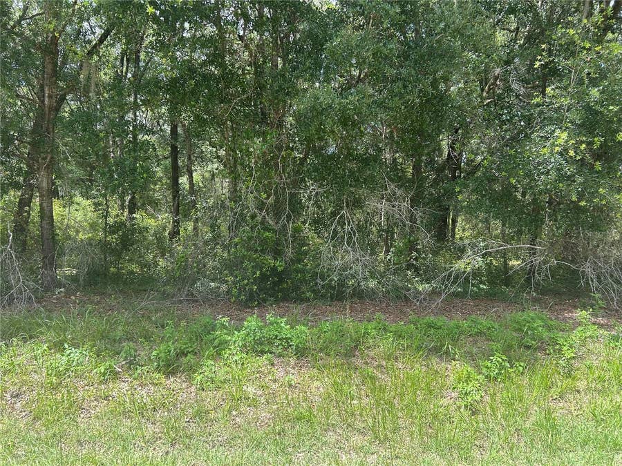 Property photo for SW 111 LANE, Dunnellon, FL