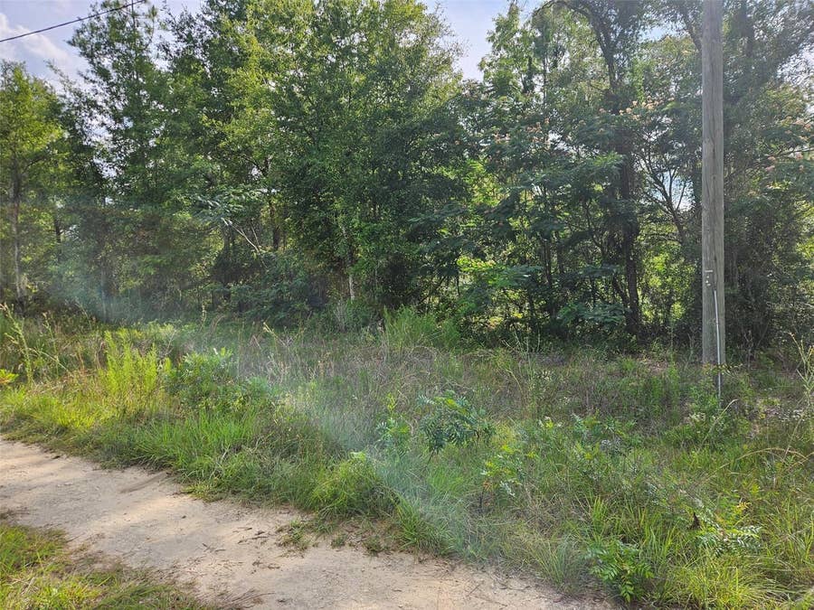 Property photo for TBD NE 153RD AVENUE, Williston, FL