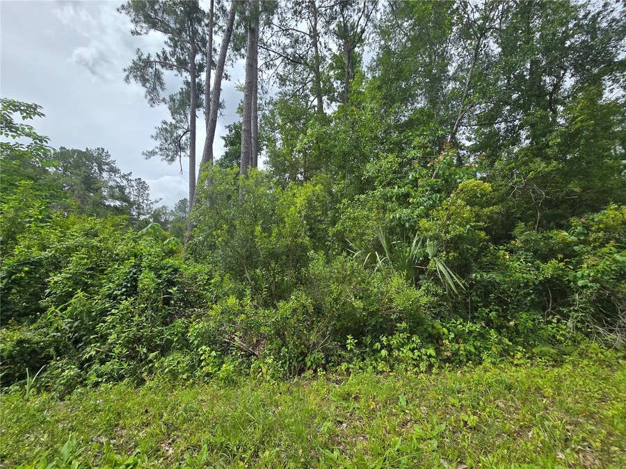 Property photo for 320 SEQUOIA DRIVE, Ocklawaha, FL