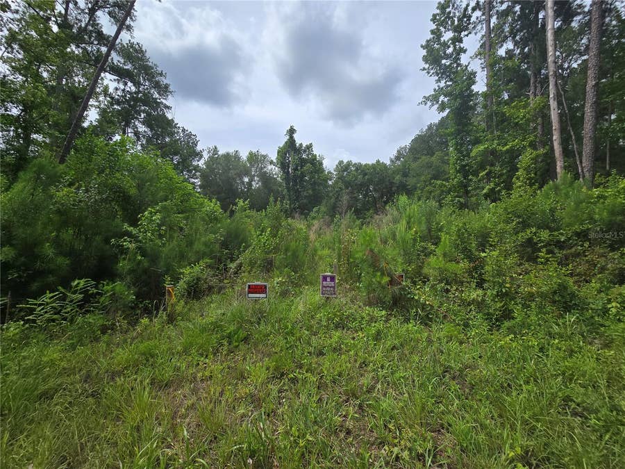 Property photo for 316 SEQUOIA DRIVE, Ocklawaha, FL