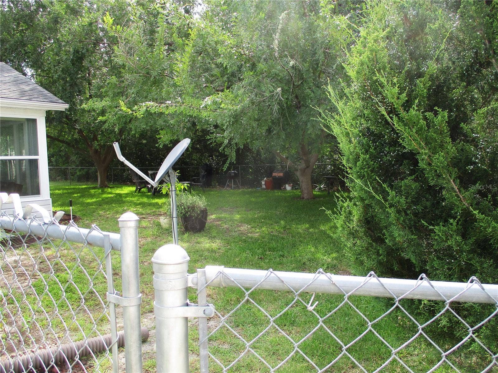 TREE LINED VIEW