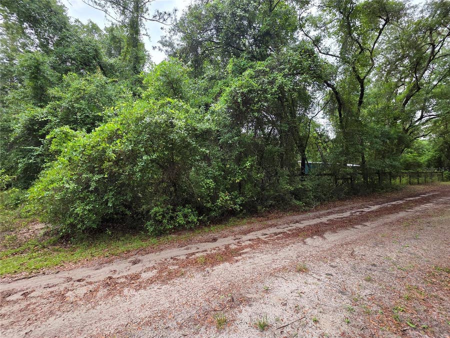 Property photo for 000 NE 138TH TERRACE, Fort Mc Coy, FL
