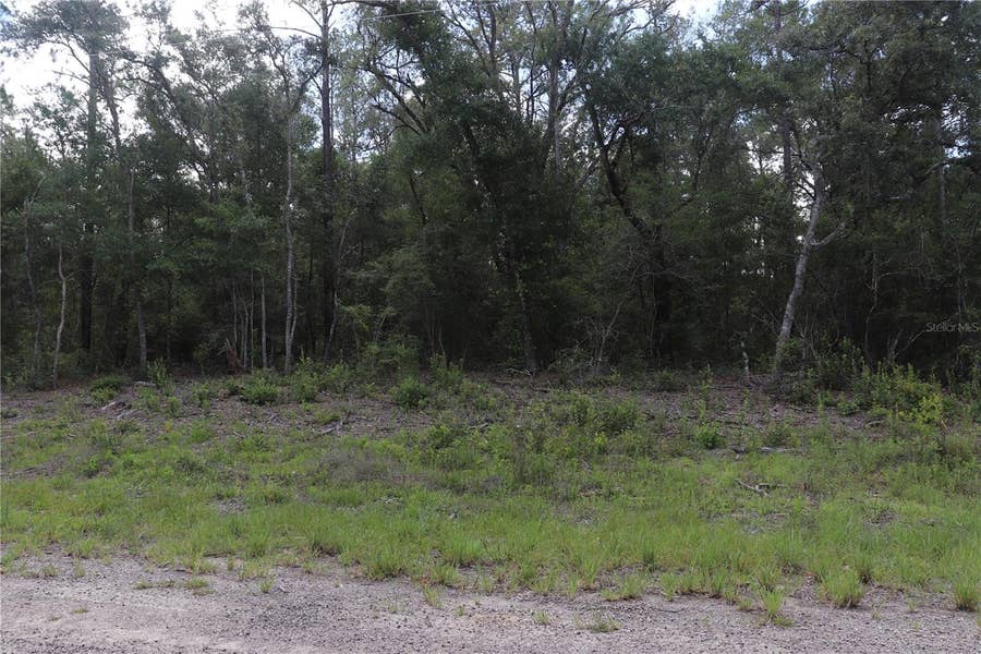 Property photo for 653 VERCELLI LANE, Dunnellon, FL