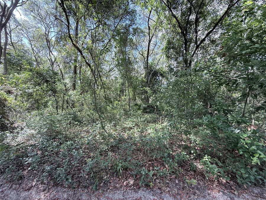 Property photo for TBD SW 150TH STREET, Dunnellon, FL