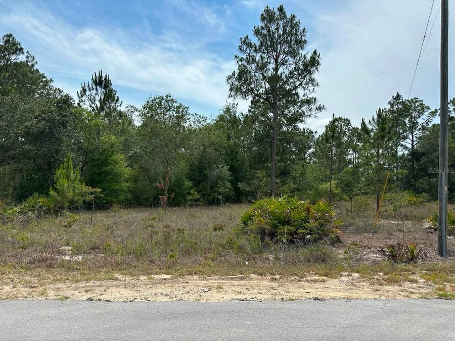Property photo for 00 SOUTH HAVEN COURT, Dunnellon, FL