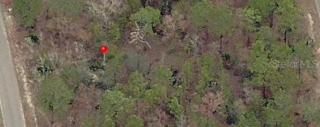 Property photo for 23 FISHER LANE TERRACE, Ocklawaha, FL