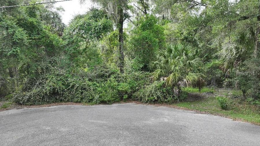 Property photo for 18731 SW 79TH PLACE, Dunnellon, FL