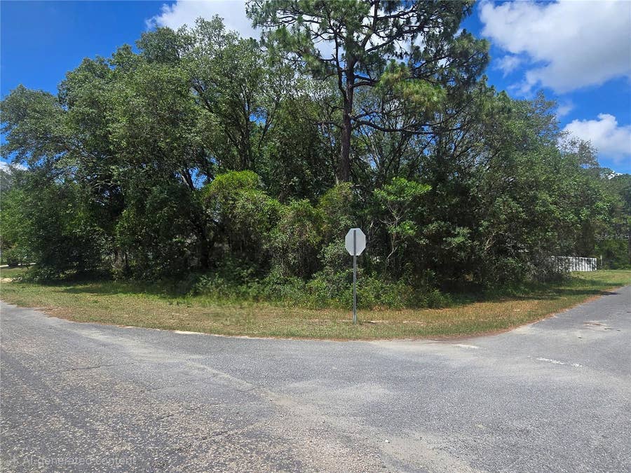 Property photo for 8467 N EMPIRE AVENUE, Citrus Springs, FL