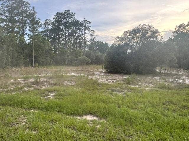 Property photo for Vacant Land SW MINEOLA LANE, Dunnellon, FL