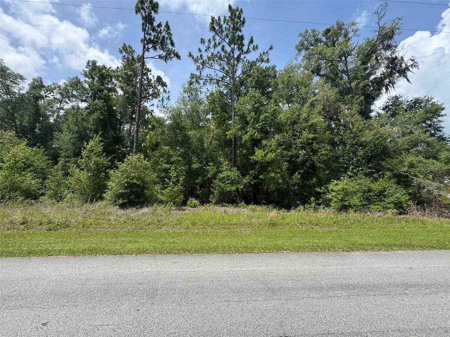 Property photo for TBD SW 59TH LANE, Dunnellon, FL