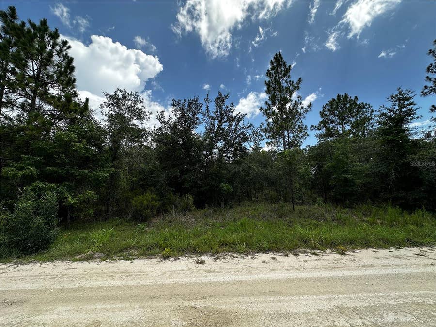 Property photo for 12930 NE 15TH STREET, Williston, FL