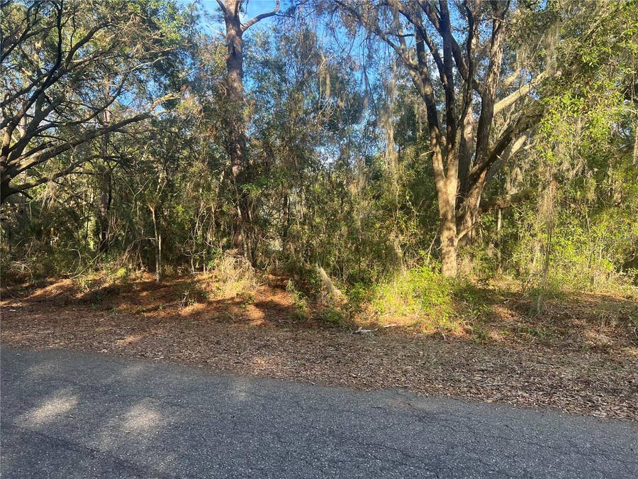 Property photo for GUAVA TERRACE, Ocklawaha, FL