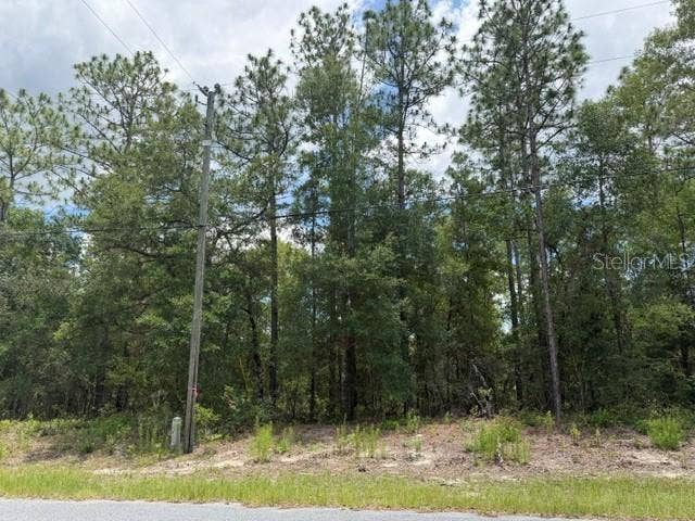 Property photo for 1982 W ROSEBORO DRIVE, Dunnellon, FL