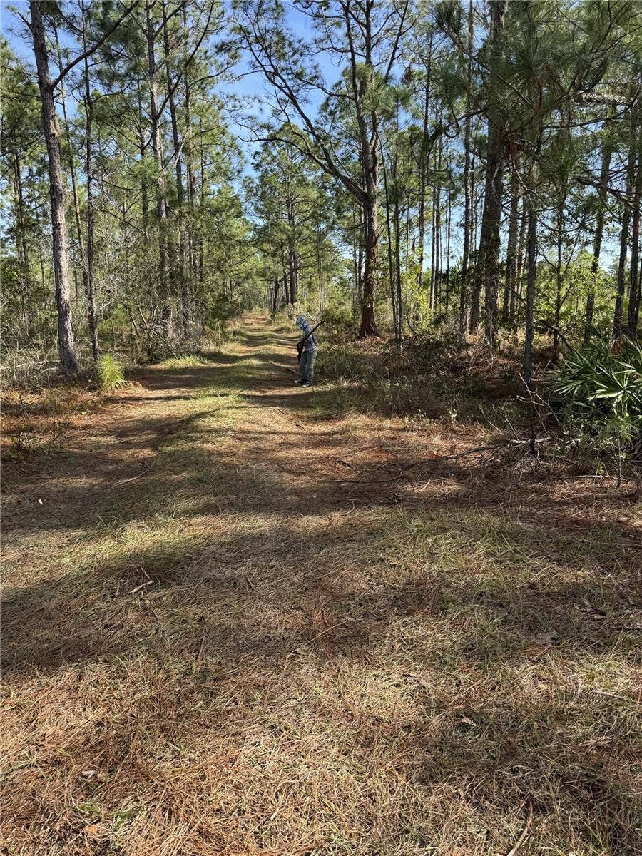 Property photo for TBD, Frostproof, FL