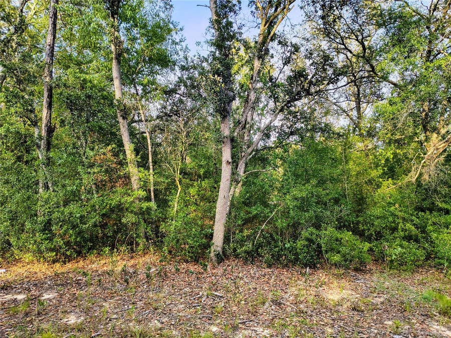 Property photo for 8821 NE 97TH COURT, Bronson, FL