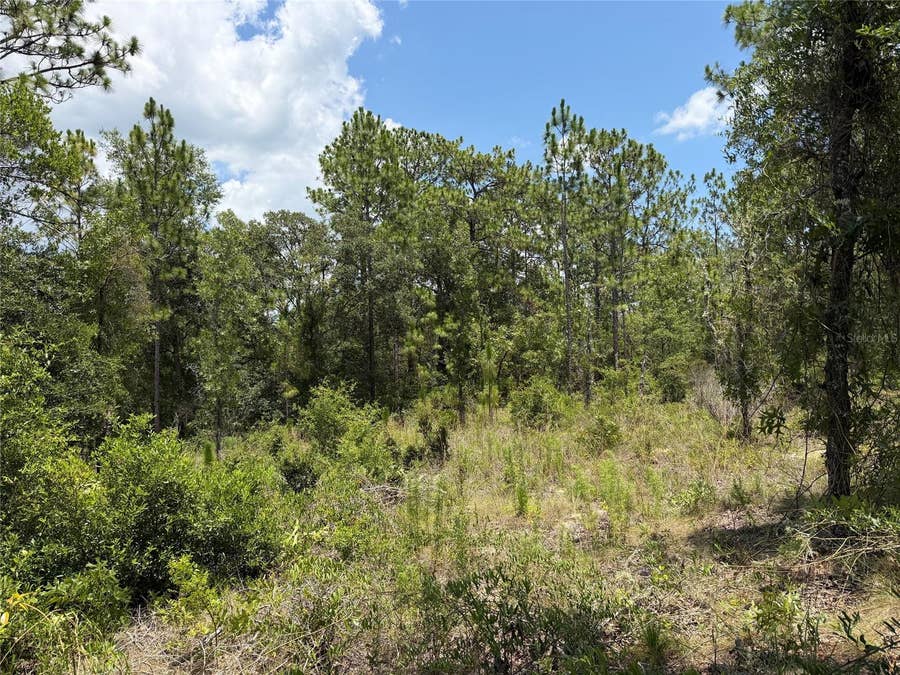 Property photo for 00 NE 65TH TERRACE, Williston, FL
