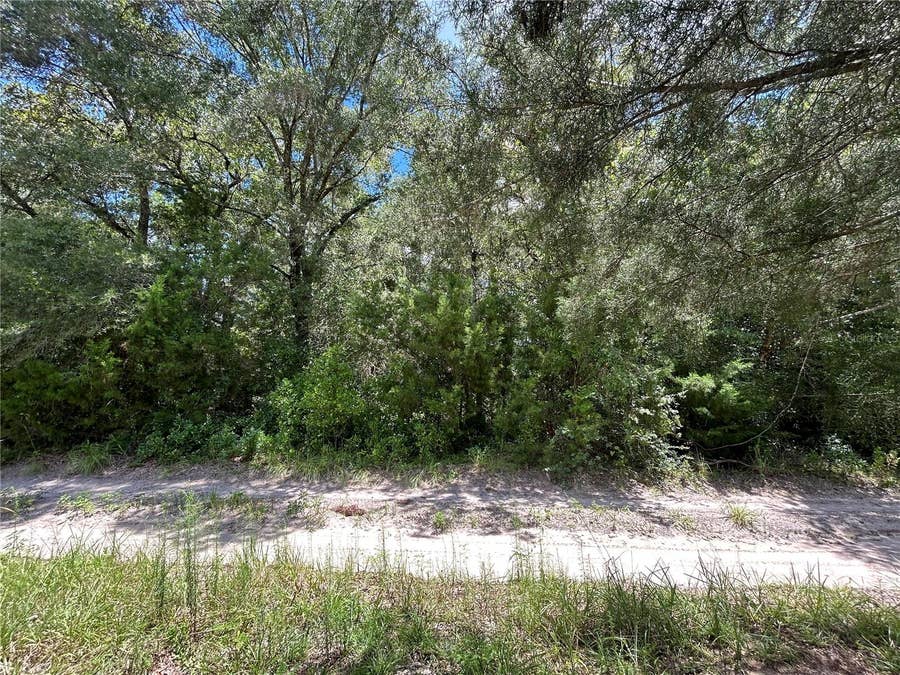 Property photo for 0000 NE 157TH TERRACE, Williston, FL