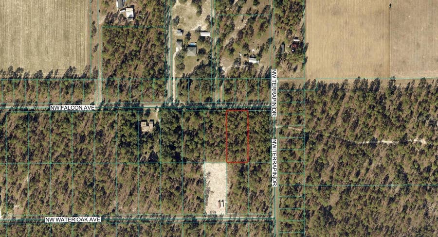 Property photo for 00 NW FALCON AVENUE, Dunnellon, FL