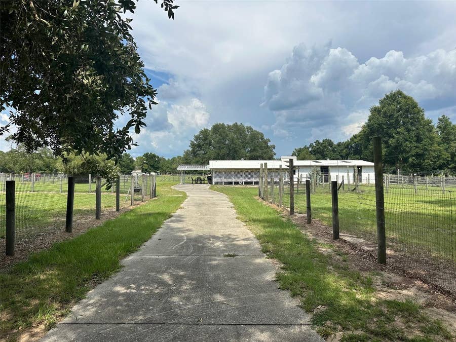 Property photo for 905 NW 80TH AVENUE, Ocala, FL