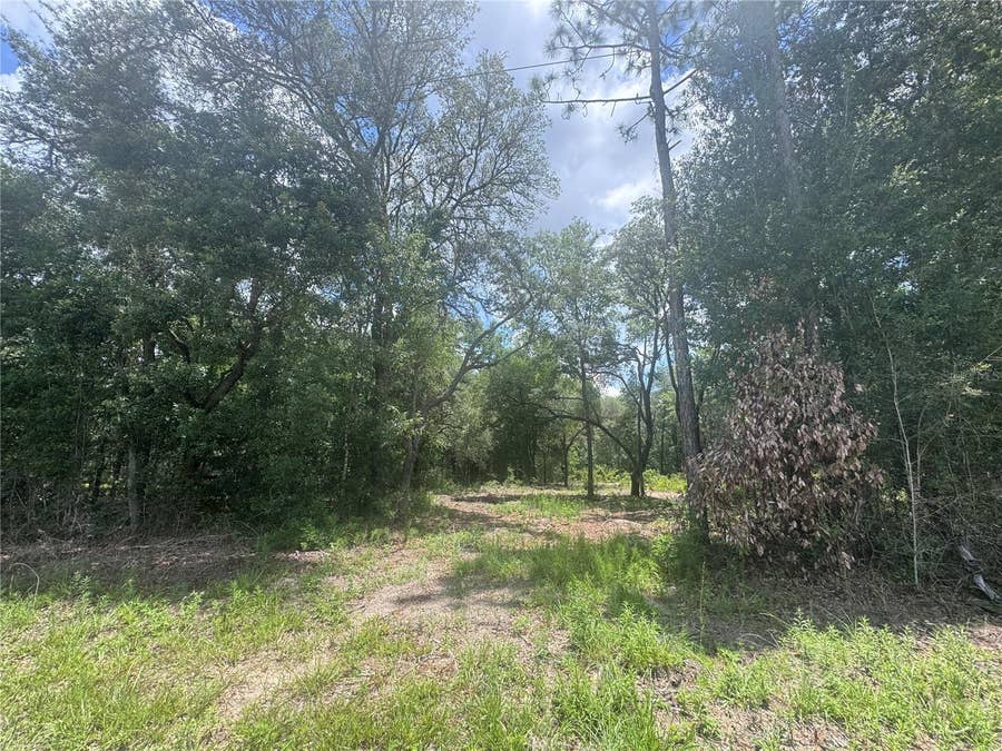 Property photo for 751 NE 139TH AVENUE, Williston, FL