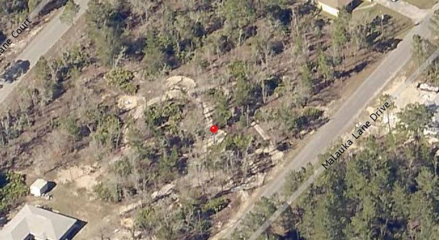 Property photo for 00 MALAUKA TRAIL DRIVE, Ocklawaha, FL