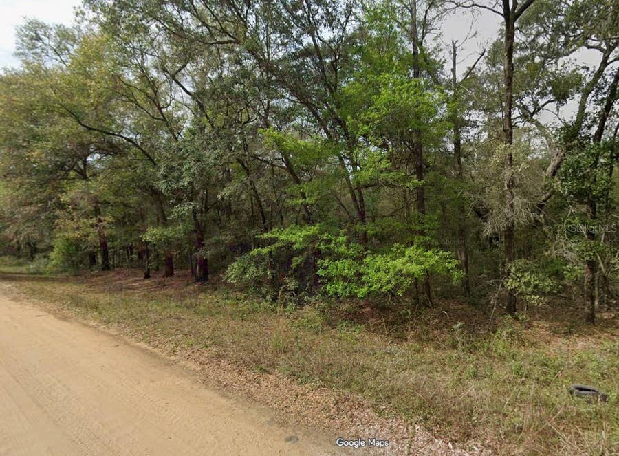Property photo for Lot 7, Unit 7, Blk 42 BUCKLES AVENUE, Interlachen, FL