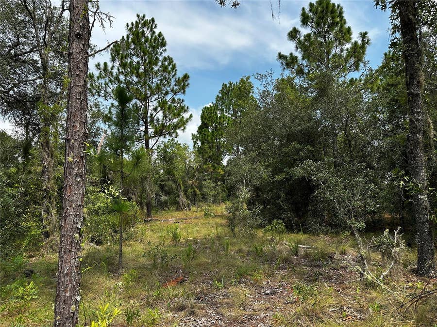 Property photo for 150 SE 144TH AVENUE, Williston, FL