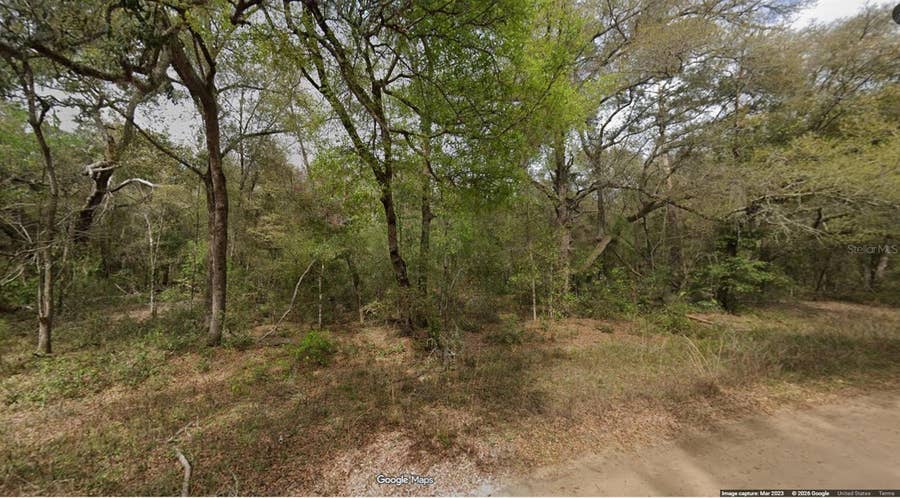 Property photo for Lot 8, Unit 7, Blk 42 BUCKLES AVENUE, Interlachen, FL