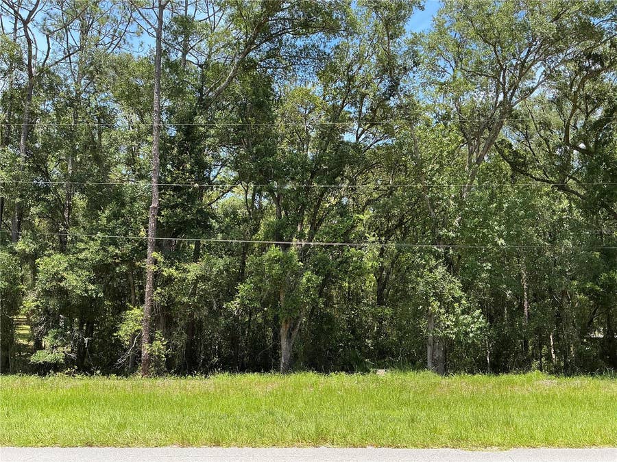 Property photo for SW 102ND ST ROAD, Dunnellon, FL