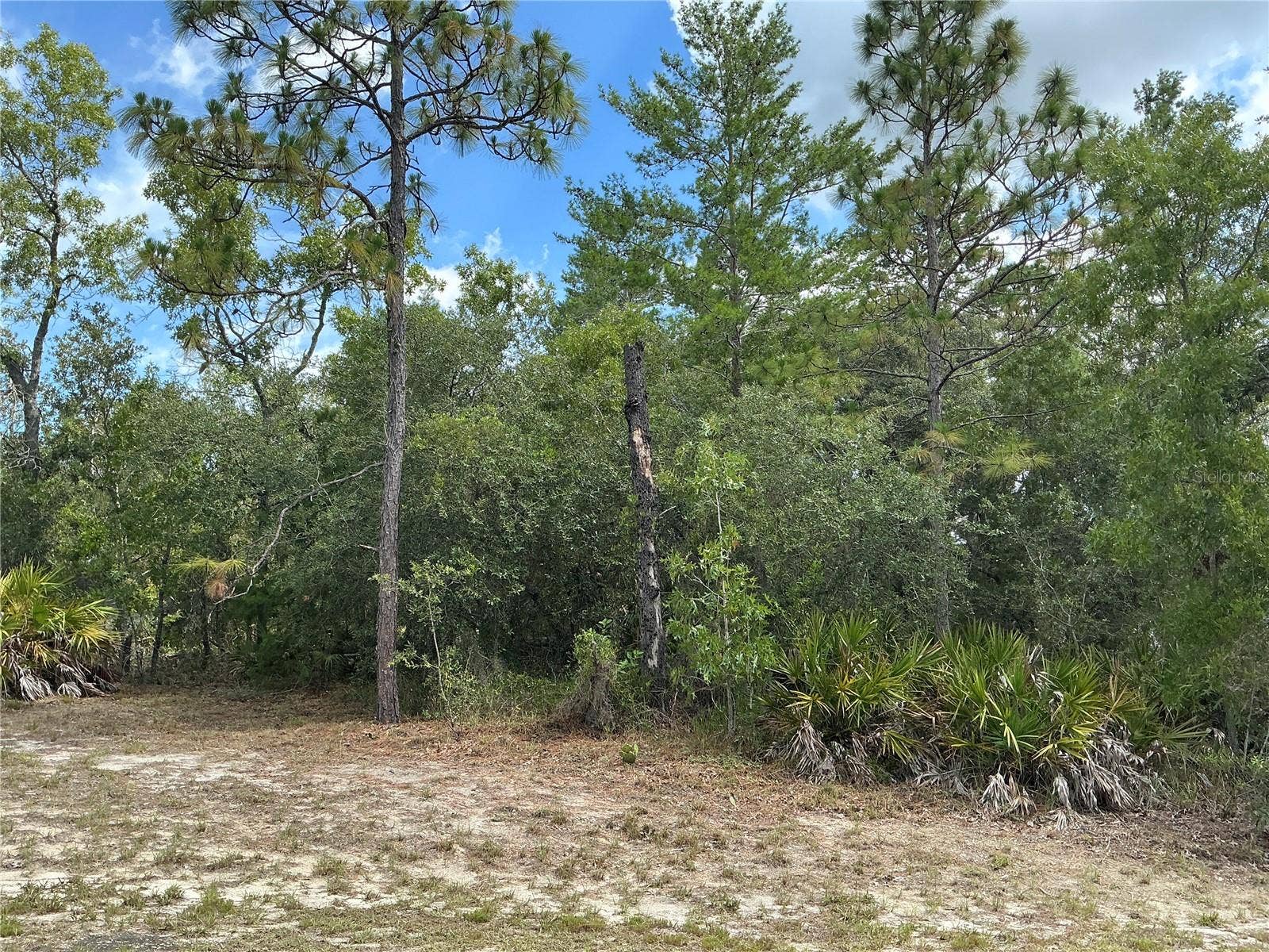 PERSIMMON AVENUE, Weeki Wachee, FL 34614 PERSIMMON AVENUE, Weeki Wachee, FL 34614