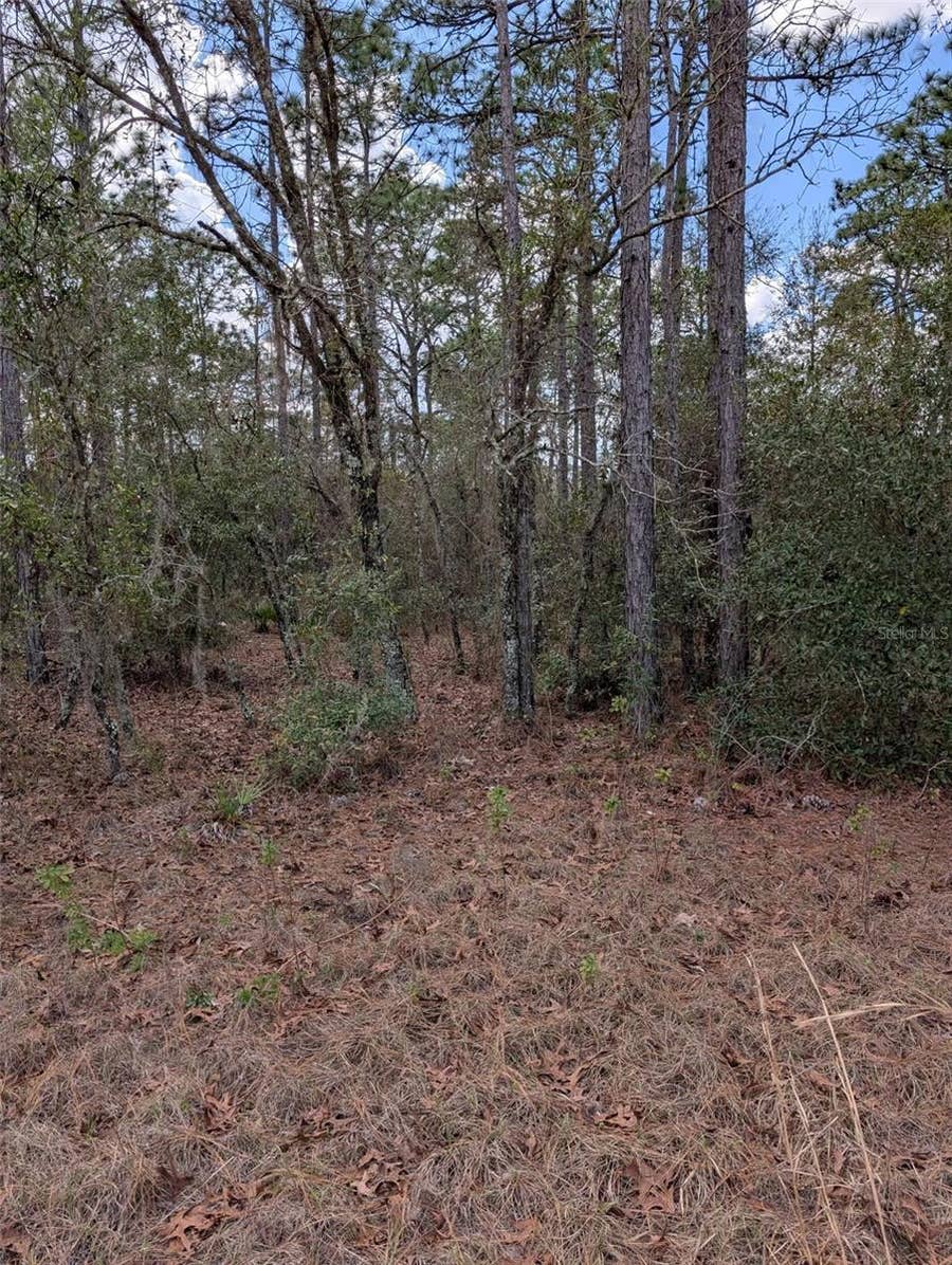 Property photo for 0 SW 90TH STREET, Dunnellon, FL