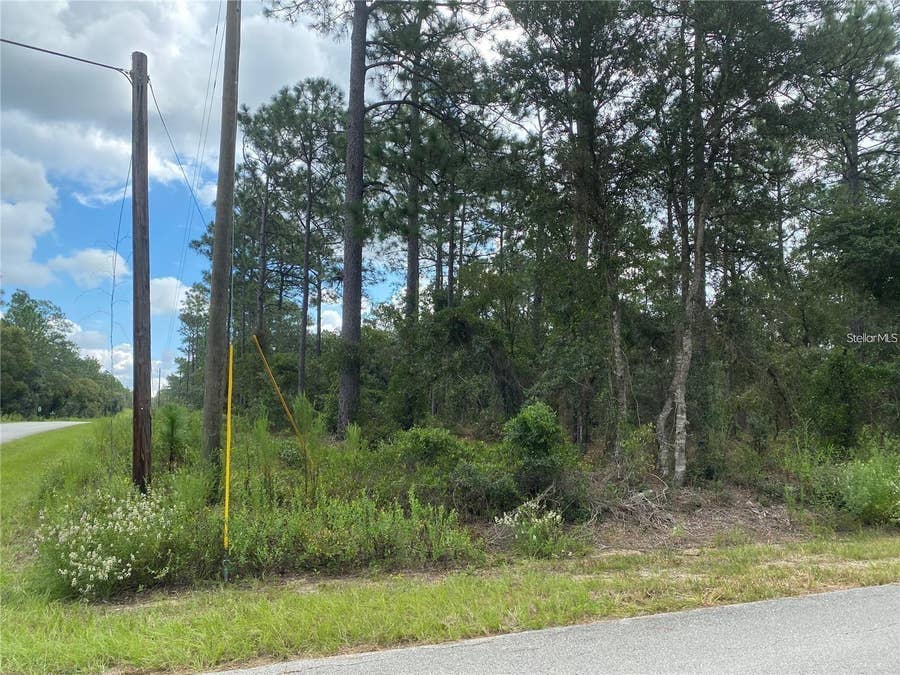 Property photo for 00 SW BUENA VISTA ROAD, Dunnellon, FL