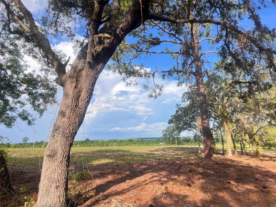 Property photo for LEVY STREET, Williston, FL