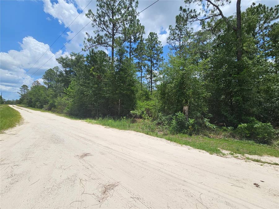 Property photo for 0000 NE 40TH LANE, Williston, FL