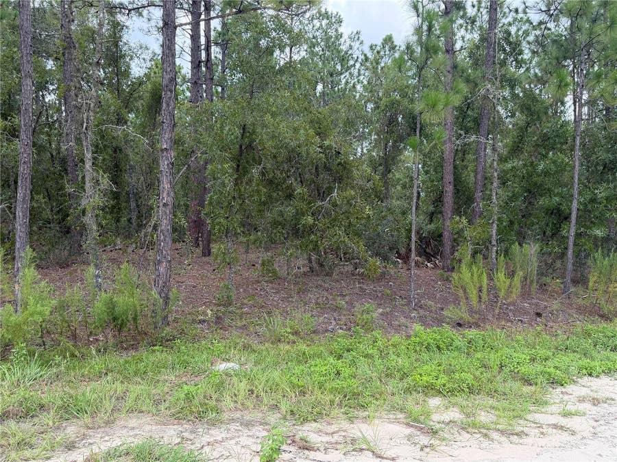 Property photo for 00 SW 131 AVENUE, Ocala, FL