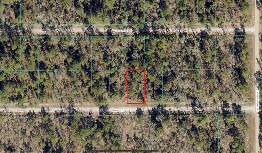 Property photo for 00 NW SUTTON AVENUE, Dunnellon, FL